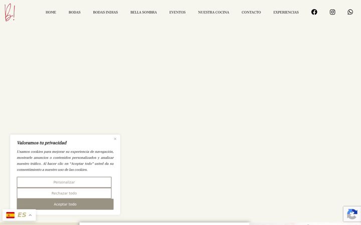 Ekrano kopija antoniobort.com