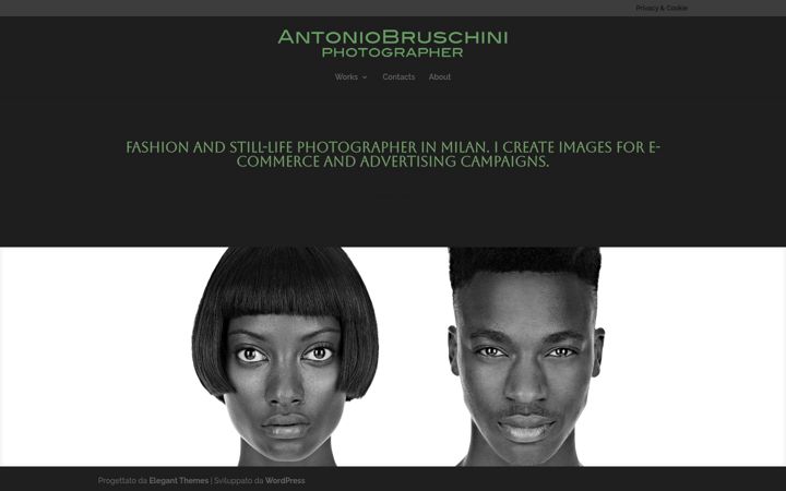 Screenshot of antoniobruschini.com