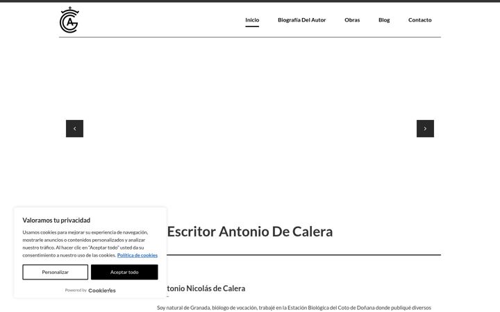 Screenshot of antoniodecalera.com