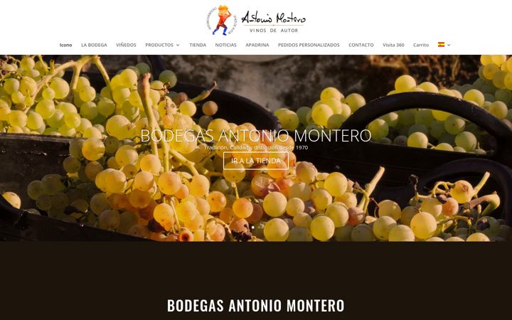Screenshot of antoniomontero.com