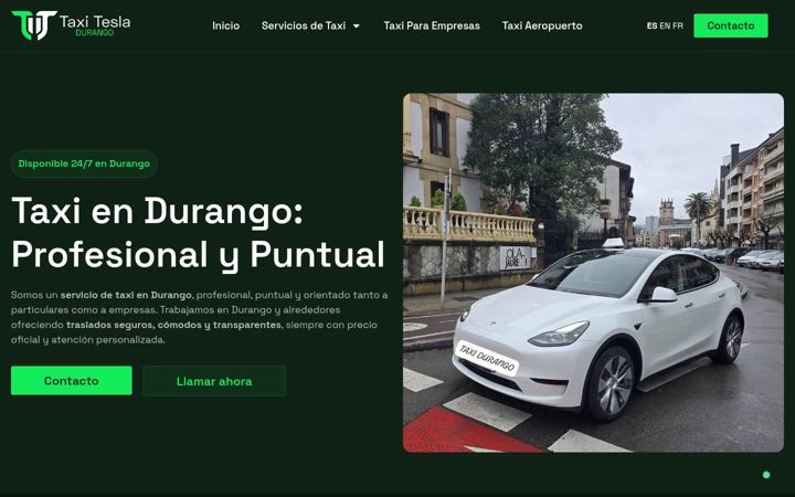 Screenshot von antoniotaxitrapagaran.com