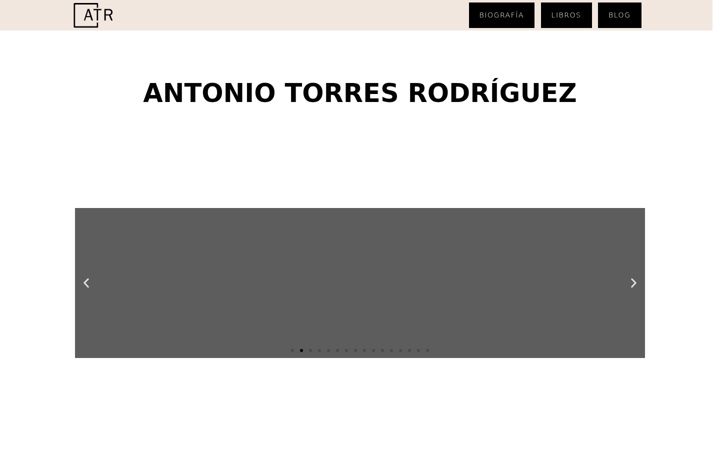 Screenshot of antoniotorresrodriguez.com