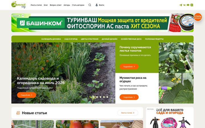 Screenshot stránky antonovsad.ru