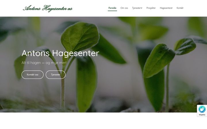 Screenshot of antonshagesenter.no