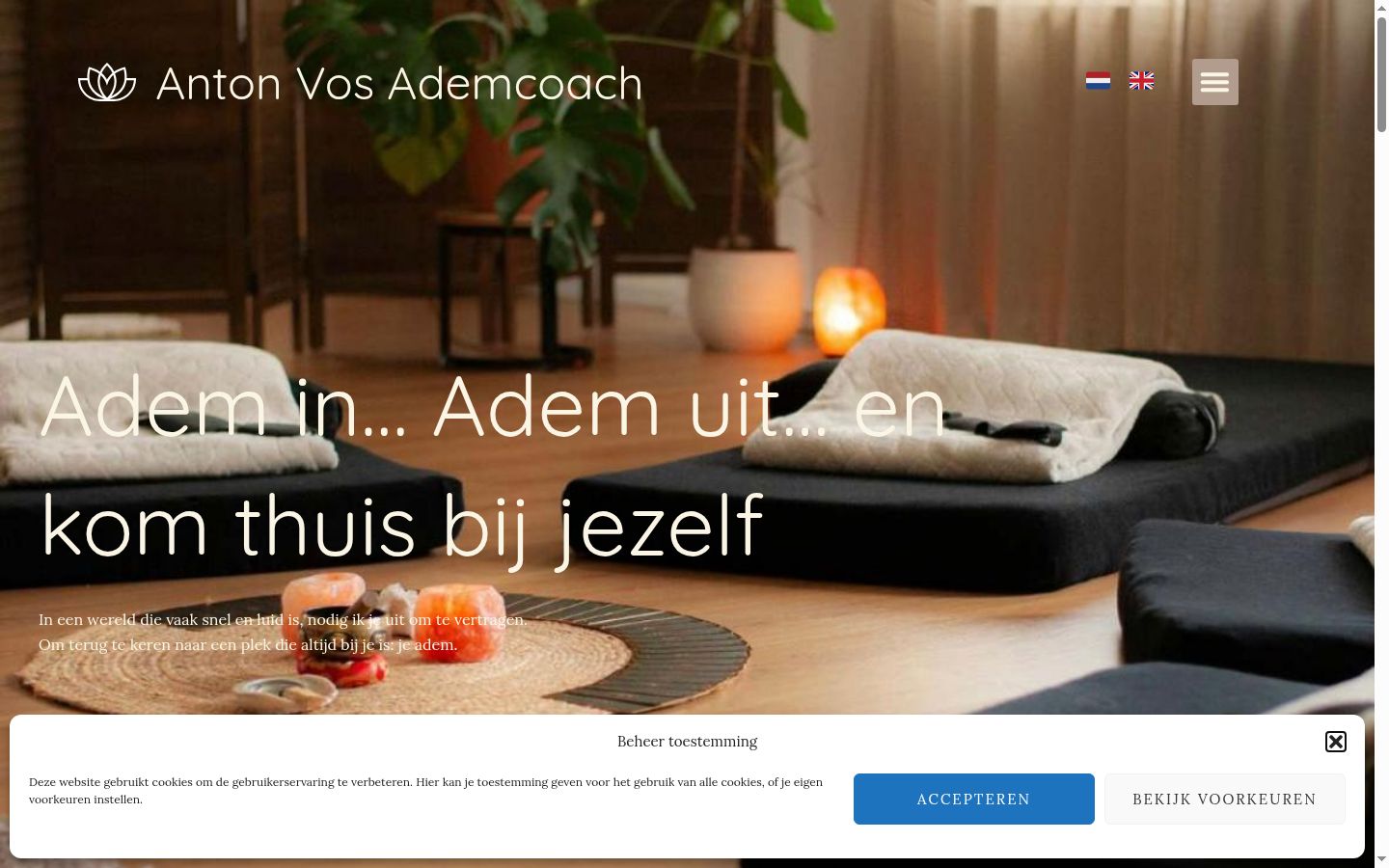 Screenshot of the consent banner shown before any interaction