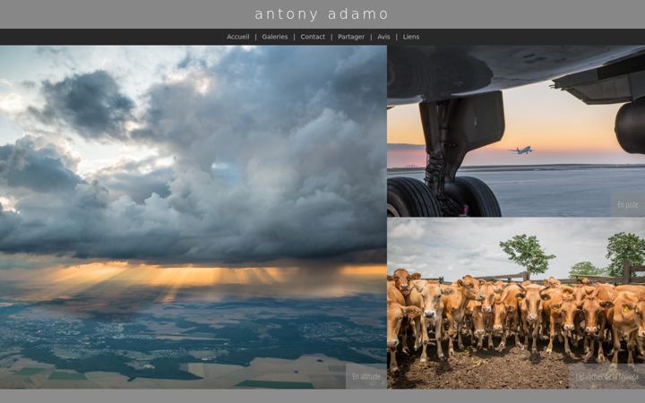 Screenshot of antonyadamo.com