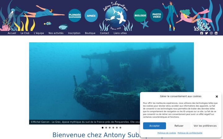 Screenshot ta' antonysub.fr