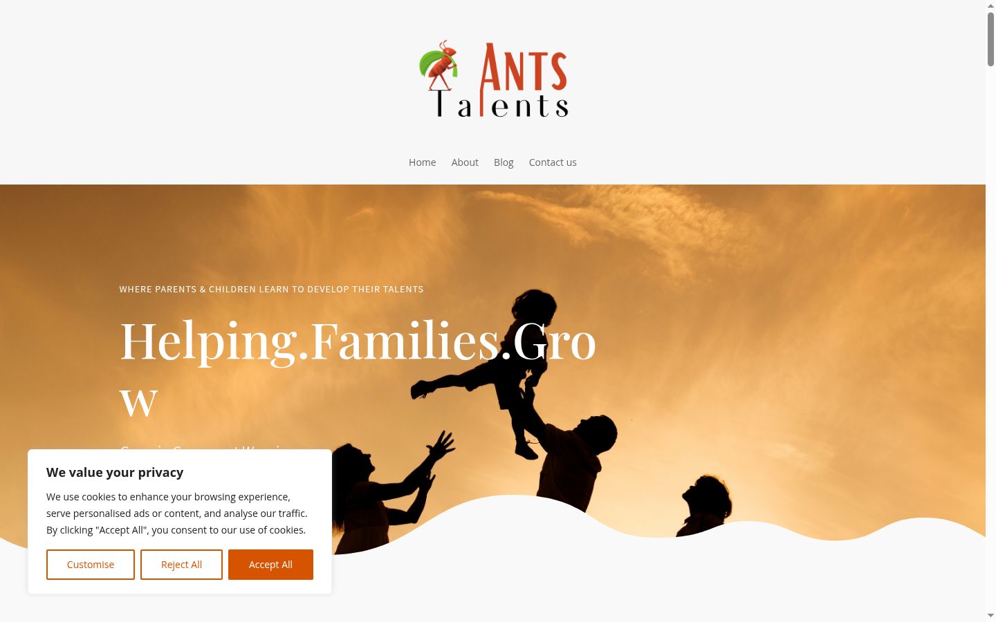 Screenshot of the consent banner shown before any interaction