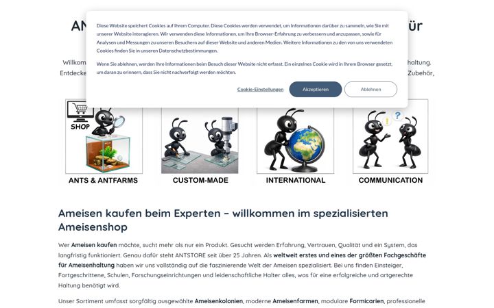Screenshot of antstore.net