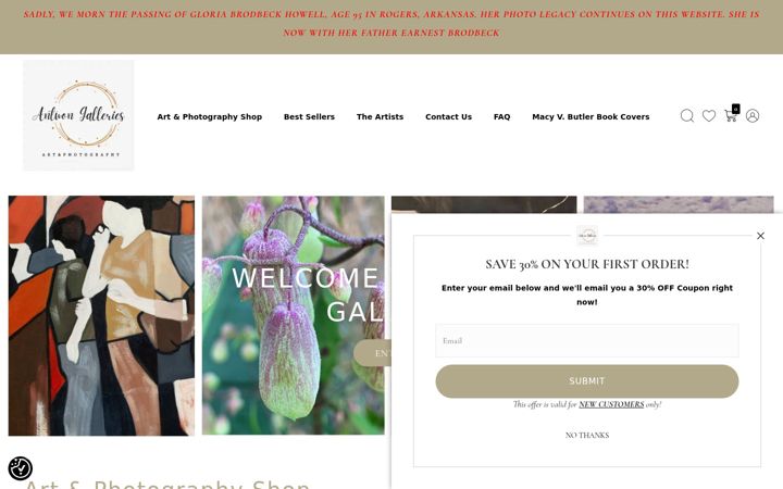 Skjermbilde av antwongalleries.com