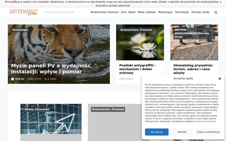 Screenshot ta' antykwariat-szczecin.com.pl