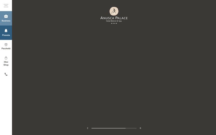 anuscapalacehotel.com