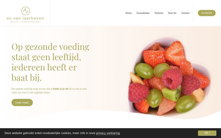 Screenshot of anvanlaerhoven.be
