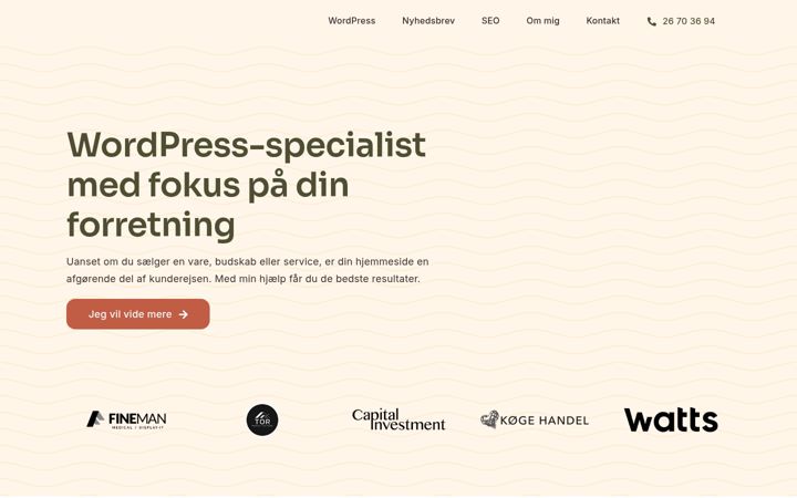 Képernyőkép: anvil.dk