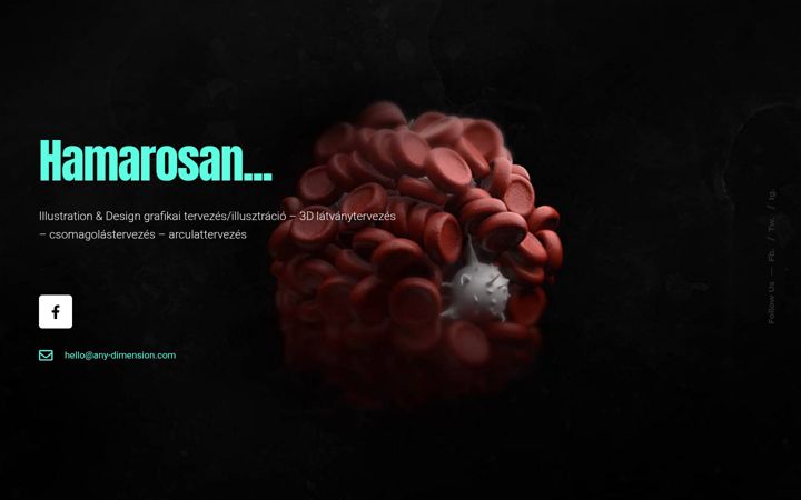 Snimka zaslona za any-dimension.com