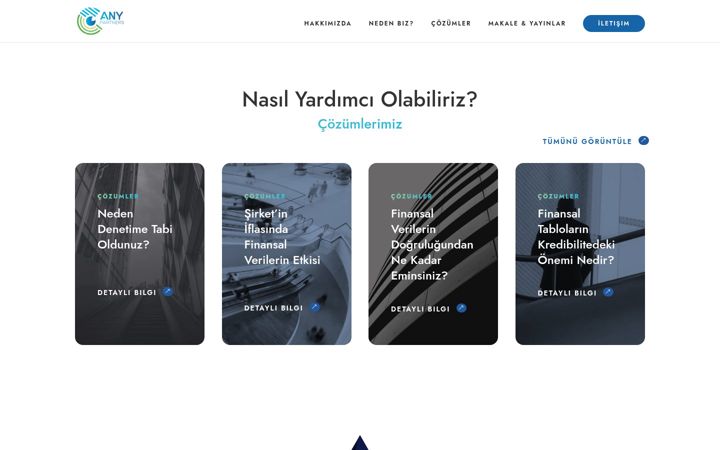 Screenshot of any.partners