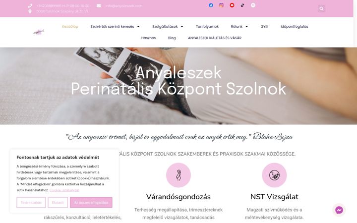 Snimka zaslona za anyaleszek.com