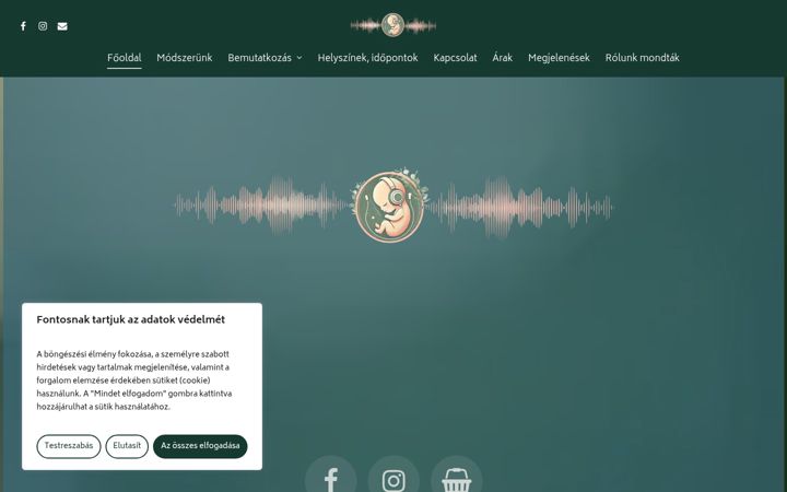 Screenshot of anyamagzat.hu