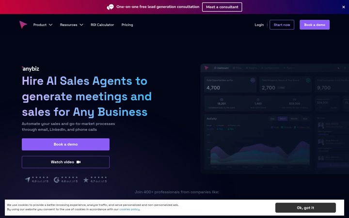 Captura de pantalla de anybiz.io