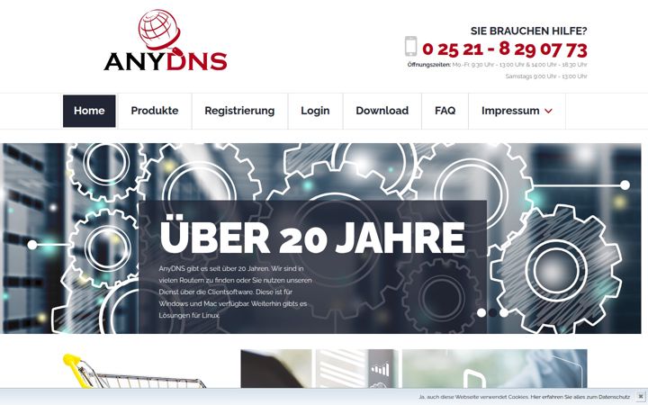 anydns.info