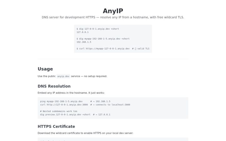 Screenshot of anyip.dev