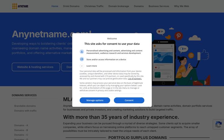 Screenshot of anynetname.com