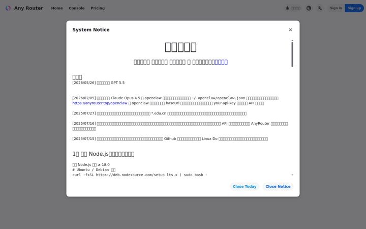 Screenshot of anyrouter.top