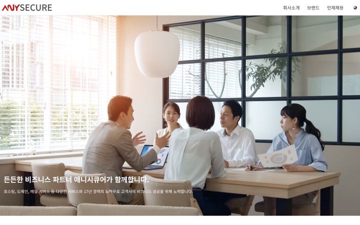Screenshot ta' anysecure.com