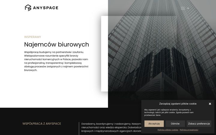 Screenshot of anyspace.pl