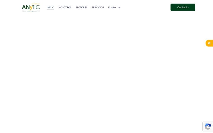 Skærmbillede af anytic.com