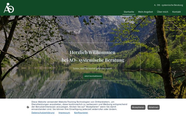 Screenshot of ao-beratung.de