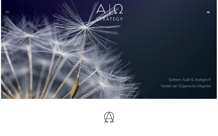 Screenshot of ao-strategy.com