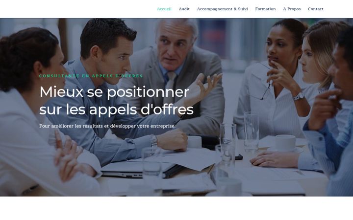 Screenshot of ao-synergie.fr
