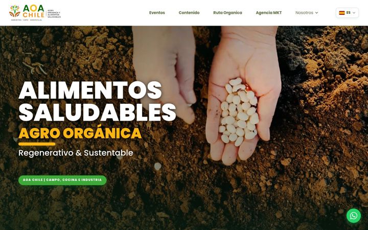 Screenshot of aoachile.com