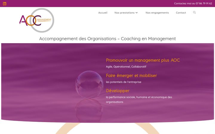 Screenshot of aoc-management.fr