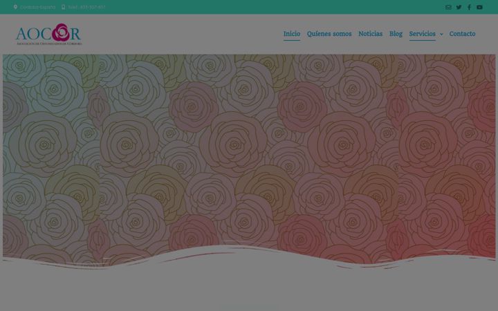 Screenshot of aocor.es
