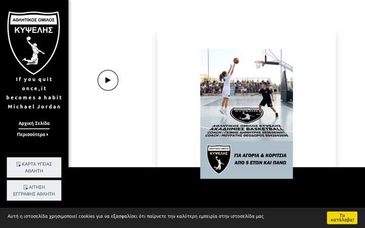 Screenshot of aokipselisbasket.com