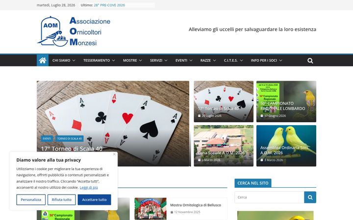Kuvakaappaus sivustosta aommonza.it