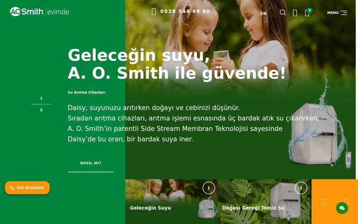 Snímek obrazovky aosmithevimde.com