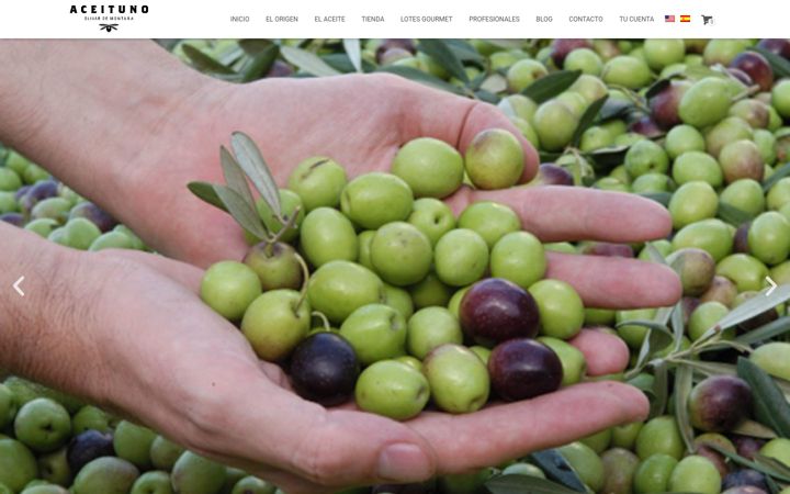 Screenshot of aoveaceituno.com