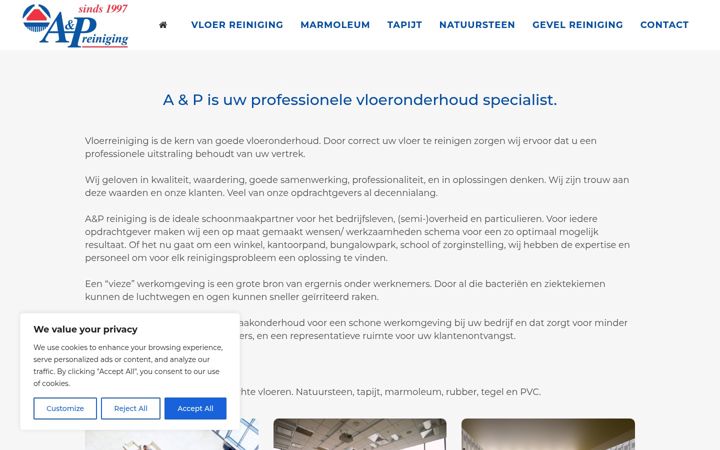 Screenshot ta' ap-reiniging.nl