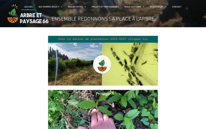 Screenshot di ap66.org