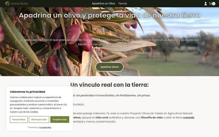 Screenshot of apadrinaunolivotoledo.com