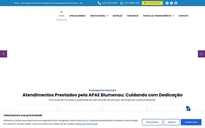 Screenshot ta' apaeblumenau.org.br