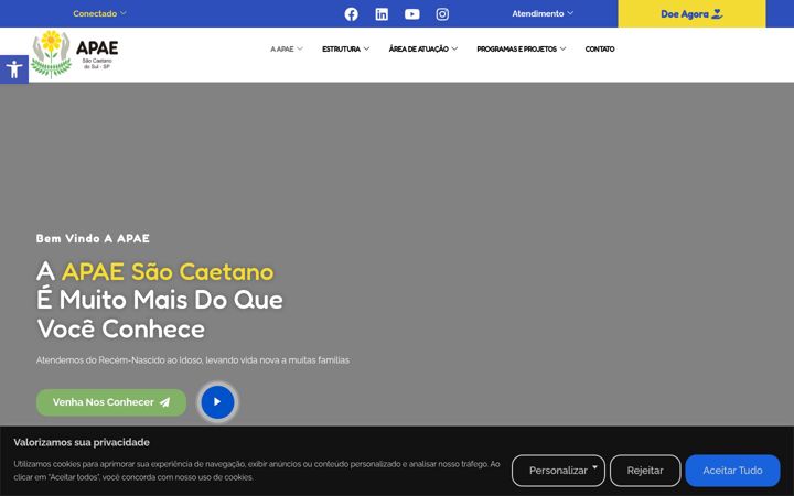 Screenshot of apaescsul.org.br