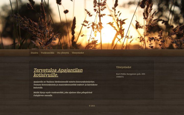 Screenshot ta' apajantila.fi