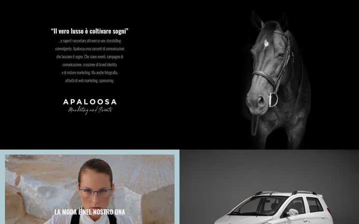 Screenshot of apaloosa.it