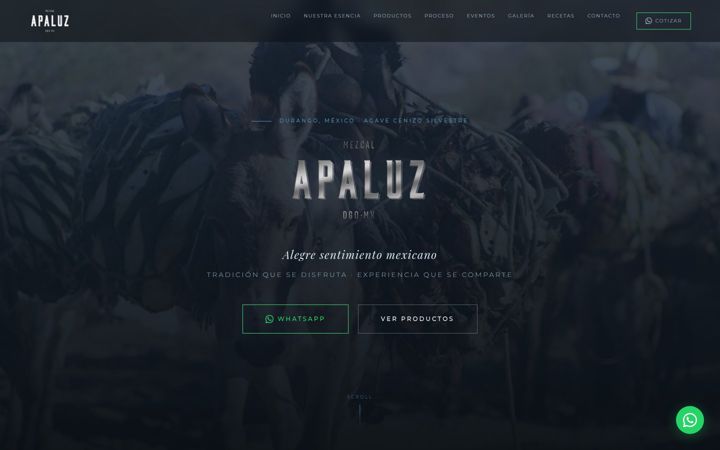 Screenshot of apaluz.com.mx