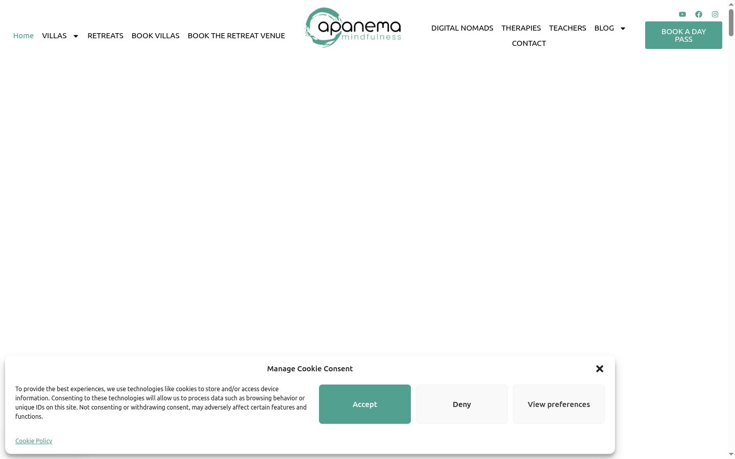 Screenshot of the consent banner shown before any interaction