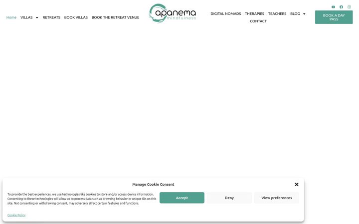 Snímek obrazovky apanemamindfulness.com
